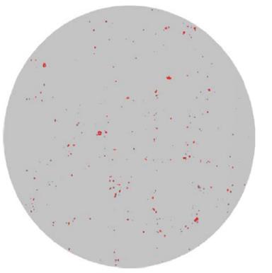 清潔度檢測 清潔度檢測