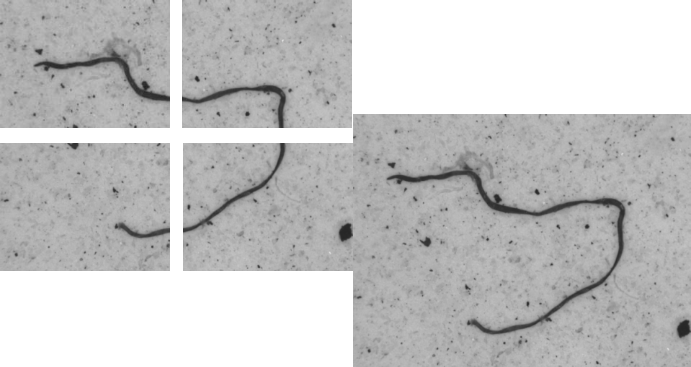 清潔度檢測 清潔度檢測