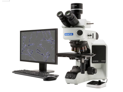 清潔度檢測 清潔度檢測