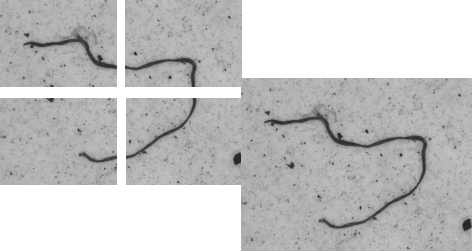 1560414945918521.png 1560414945918521.png